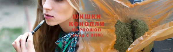 кокс Ельня