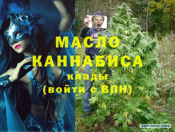 кокс Ельня
