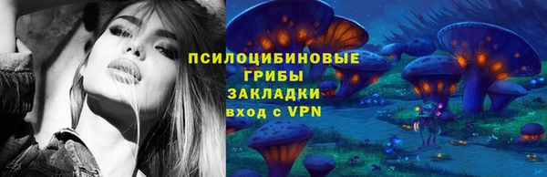 кокс Ельня