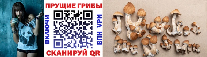 Псилоцибиновые грибы MAGIC MUSHROOMS  Купить  Покровск 